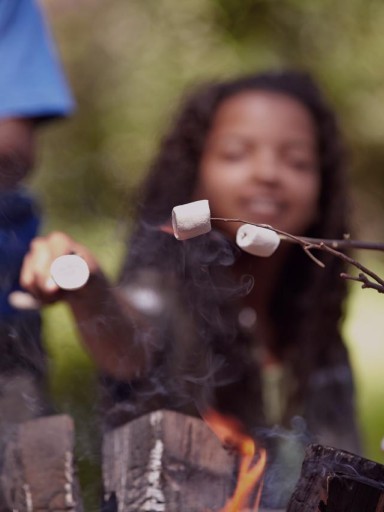 kids roasting marshmallow